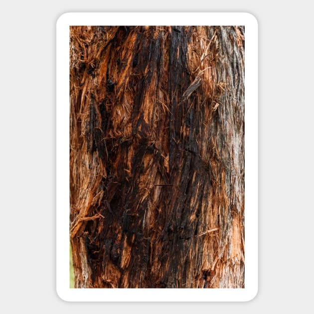 Fire Red String Bark Burnt Tree Trunk - Alternative Sticker by textural